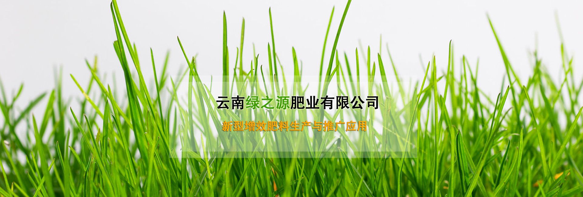 云南綠之源肥業(yè)有限公司廣告banner1